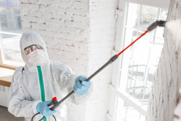 Best Mold Odor Removal Services  in Centre Grove, NJ