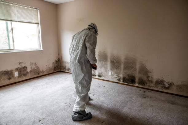 Best Residential Mold Inspection & Testing  in Centre Grove, NJ